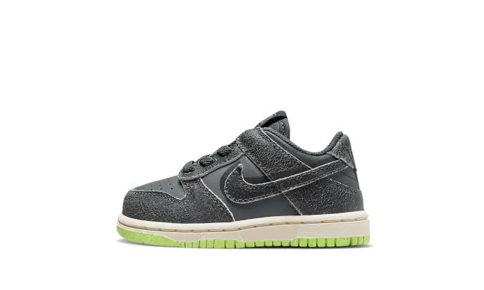 Nike Nike Dunk Low Swoosh Shadow Iron Grey Bébé (TD) - DQ6217-001