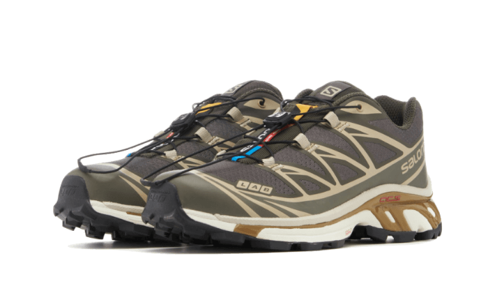 Salomon Salomon XT-6 Beluga Dull Gold - L47136200