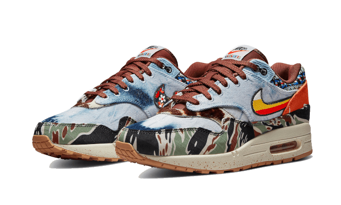 Nike Nike Air Max 1 SP Concepts Heavy - DN1803-900