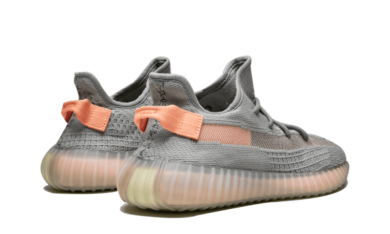 Adidas Adidas Yeezy Boost 350 V2 True Form - EG7492